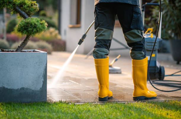 Best Seasonal Cleaning Services in Monticello, MN